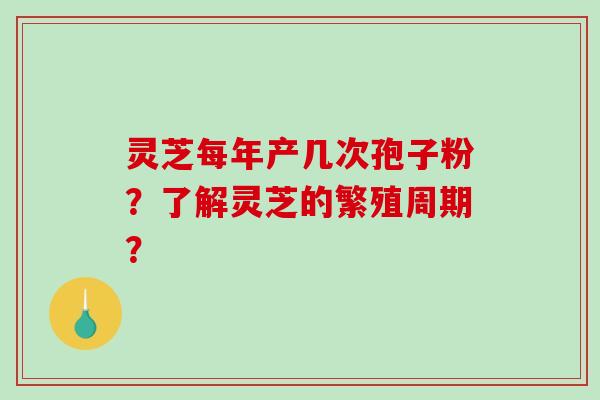 灵芝每年产几次孢子粉？了解灵芝的繁殖周期？-第1张图片-破壁灵芝孢子粉研究指南