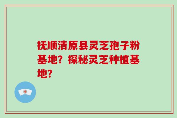 抚顺清原县灵芝孢子粉基地?探秘灵芝种植基地?-第1张图片-破壁灵芝孢子粉研究指南 抚顺清原县灵芝孢子粉基地?探秘灵芝种植基地?-第1张图片-破壁灵芝孢子粉研究指南