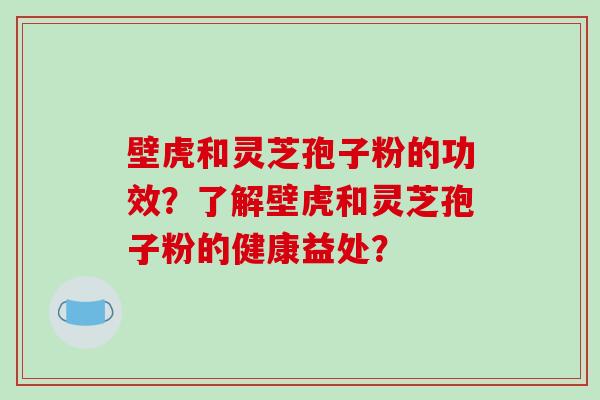 壁虎和灵芝孢子粉的功效?了解壁虎和灵芝孢子粉的健康益处?-第1张图片-破壁灵芝孢子粉研究指南 壁虎和灵芝孢子粉的功效?了解壁虎和灵芝孢子粉的健康益处?-第1张图片-破壁灵芝孢子粉研究指南