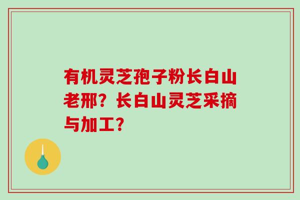 有机灵芝孢子粉长白山老邢?长白山灵芝采摘与加工?-第1张图片-破壁灵芝孢子粉研究指南 有机灵芝孢子粉长白山老邢?长白山灵芝采摘与加工?-第1张图片-破壁灵芝孢子粉研究指南