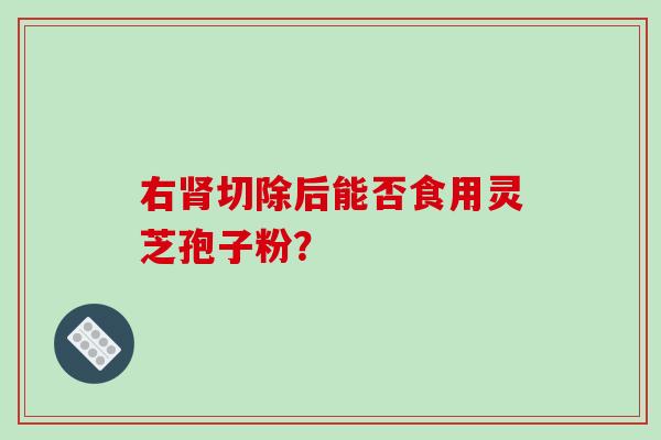 右肾切除后能否食用灵芝孢子粉?-第1张图片-破壁灵芝孢子粉研究指南 右肾切除后能否食用灵芝孢子粉?-第1张图片-破壁灵芝孢子粉研究指南