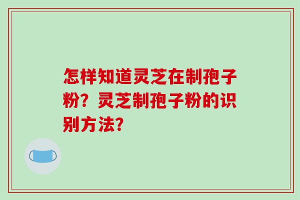 怎样知道灵芝在制孢子粉?灵芝制孢子粉的识别方法?-第1张图片-破壁灵芝孢子粉研究指南 怎样知道灵芝在制孢子粉?灵芝制孢子粉的识别方法?-第1张图片-破壁灵芝孢子粉研究指南