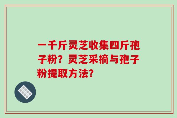 一千斤灵芝收集四斤孢子粉?灵芝采摘与孢子粉提取方法?-第1张图片-破壁灵芝孢子粉研究指南 一千斤灵芝收集四斤孢子粉?灵芝采摘与孢子粉提取方法?-第1张图片-破壁灵芝孢子粉研究指南
