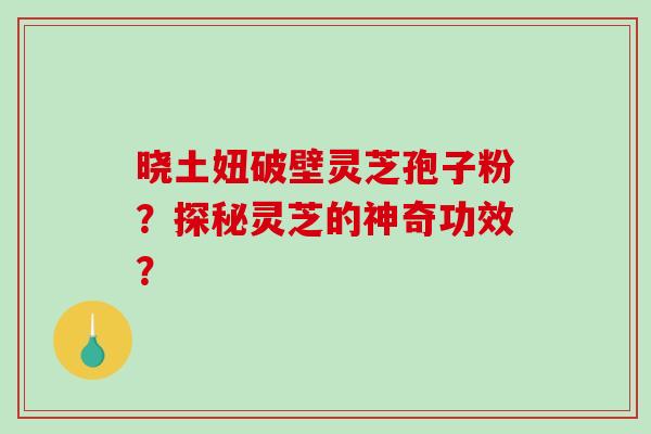 晓土妞破壁灵芝孢子粉？探秘灵芝的神奇功效？-第1张图片-破壁灵芝孢子粉研究指南