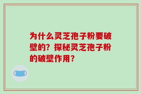 为什么灵芝孢子粉要破壁的？探秘灵芝孢子粉的破壁作用？-第1张图片-破壁灵芝孢子粉研究指南