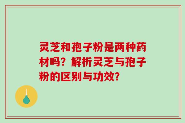 灵芝和孢子粉是两种药材吗?解析灵芝与孢子粉的区别与功效?-第1张图片-破壁灵芝孢子粉研究指南 灵芝和孢子粉是两种药材吗?解析灵芝与孢子粉的区别与功效?-第1张图片-破壁灵芝孢子粉研究指南
