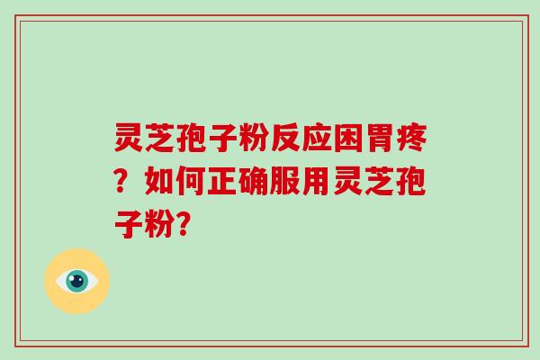 灵芝孢子粉反应困胃疼？如何正确服用灵芝孢子粉？-第1张图片-破壁灵芝孢子粉研究指南