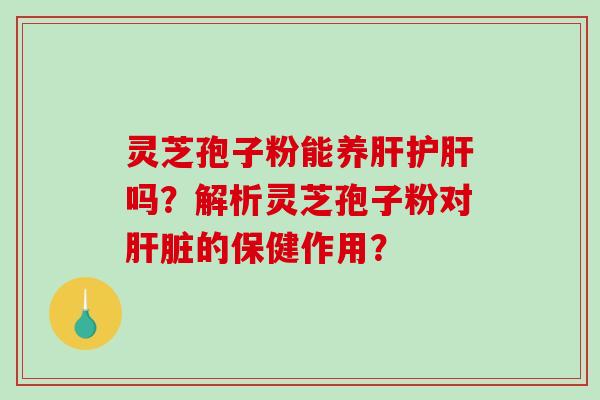 灵芝孢子粉能养肝护肝吗？解析灵芝孢子粉对肝脏的保健作用？-第1张图片-破壁灵芝孢子粉研究指南