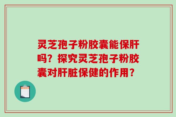 灵芝孢子粉胶囊能保肝吗？探究灵芝孢子粉胶囊对肝脏保健的作用？-第1张图片-破壁灵芝孢子粉研究指南