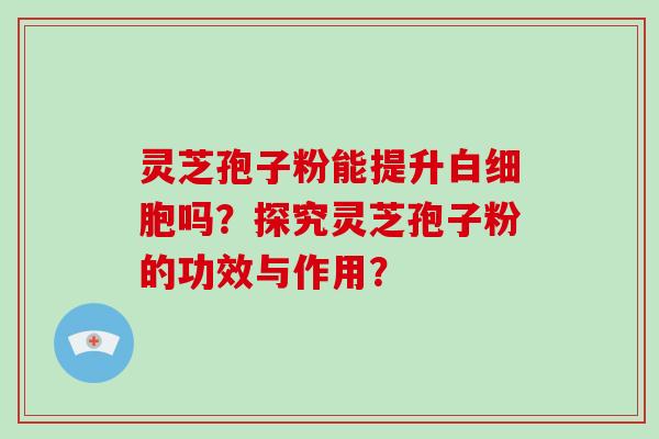 灵芝孢子粉能提升白细胞吗？探究灵芝孢子粉的功效与作用？-第1张图片-破壁灵芝孢子粉研究指南