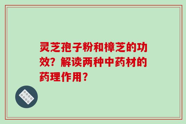 灵芝孢子粉和樟芝的功效？解读两种中药材的药理作用？-第1张图片-破壁灵芝孢子粉研究指南