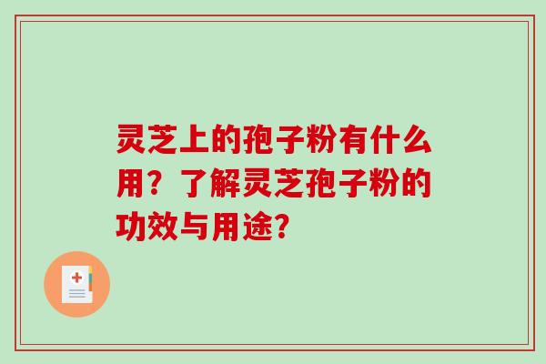 灵芝上的孢子粉有什么用？了解灵芝孢子粉的功效与用途？-第1张图片-破壁灵芝孢子粉研究指南