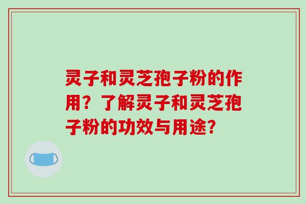 灵子和灵芝孢子粉的作用?了解灵子和灵芝孢子粉的功效与用途?-第1张图片-破壁灵芝孢子粉研究指南 灵子和灵芝孢子粉的作用?了解灵子和灵芝孢子粉的功效与用途?-第1张图片-破壁灵芝孢子粉研究指南