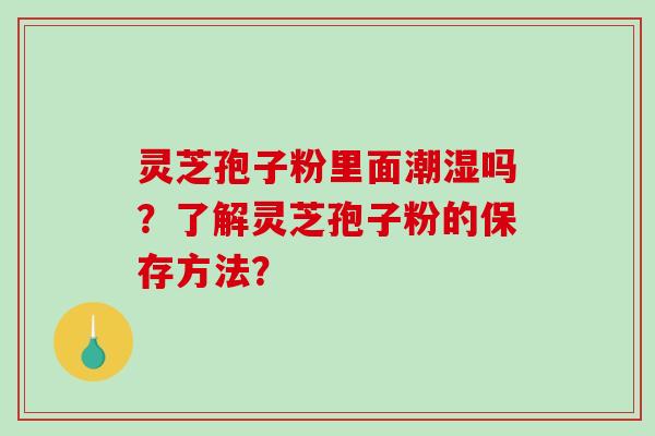 灵芝孢子粉里面潮湿吗？了解灵芝孢子粉的保存方法？-第1张图片-破壁灵芝孢子粉研究指南