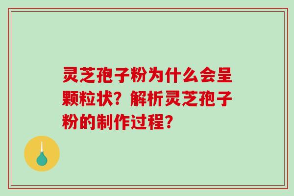 灵芝孢子粉为什么会呈颗粒状？解析灵芝孢子粉的制作过程？-第1张图片-破壁灵芝孢子粉研究指南