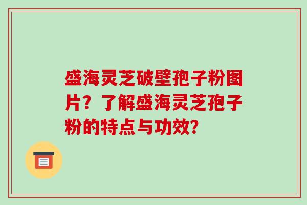 盛海灵芝破壁孢子粉图片?了解盛海灵芝孢子粉的特点与功效?-第1张图片-破壁灵芝孢子粉研究指南 盛海灵芝破壁孢子粉图片?了解盛海灵芝孢子粉的特点与功效?-第1张图片-破壁灵芝孢子粉研究指南