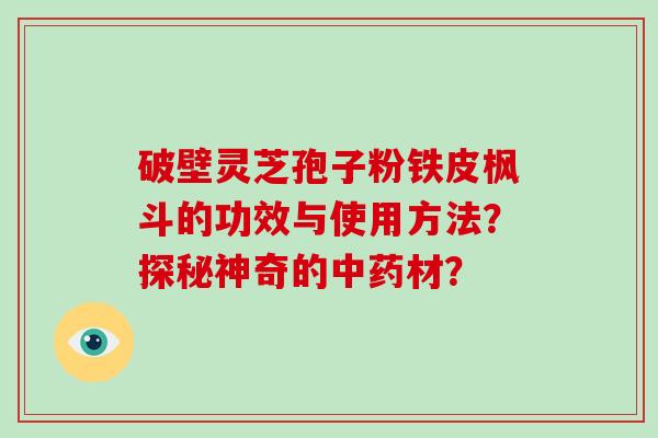 破壁灵芝孢子粉铁皮枫斗的功效与使用方法？探秘神奇的中药材？-第1张图片-破壁灵芝孢子粉研究指南