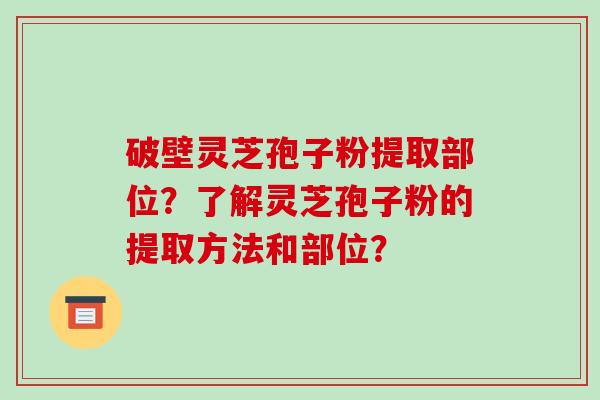 破壁灵芝孢子粉提取部位?了解灵芝孢子粉的提取方法和部位?-第1张图片-破壁灵芝孢子粉研究指南 破壁灵芝孢子粉提取部位?了解灵芝孢子粉的提取方法和部位?-第1张图片-破壁灵芝孢子粉研究指南