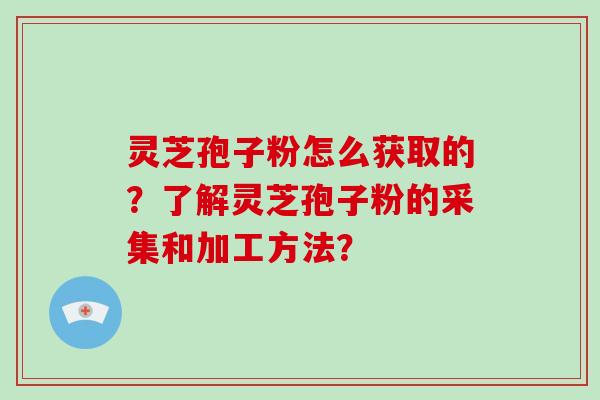 灵芝孢子粉怎么获取的？了解灵芝孢子粉的采集和加工方法？-第1张图片-破壁灵芝孢子粉研究指南