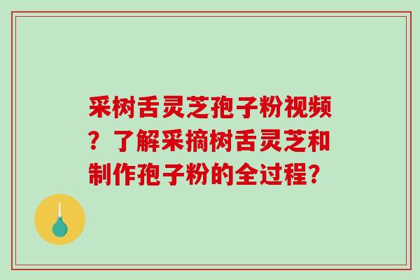 采树舌灵芝孢子粉视频？了解采摘树舌灵芝和制作孢子粉的全过程？-第1张图片-破壁灵芝孢子粉研究指南