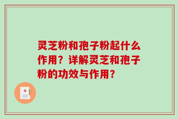 灵芝粉和孢子粉起什么作用?详解灵芝和孢子粉的功效与作用?-第1张图片-破壁灵芝孢子粉研究指南 灵芝粉和孢子粉起什么作用?详解灵芝和孢子粉的功效与作用?-第1张图片-破壁灵芝孢子粉研究指南