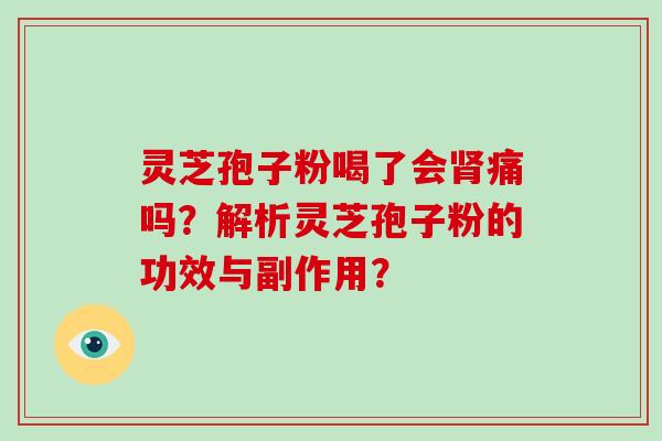 灵芝孢子粉喝了会肾痛吗?解析灵芝孢子粉的功效与副作用?-第1张图片-破壁灵芝孢子粉研究指南 灵芝孢子粉喝了会肾痛吗?解析灵芝孢子粉的功效与副作用?-第1张图片-破壁灵芝孢子粉研究指南