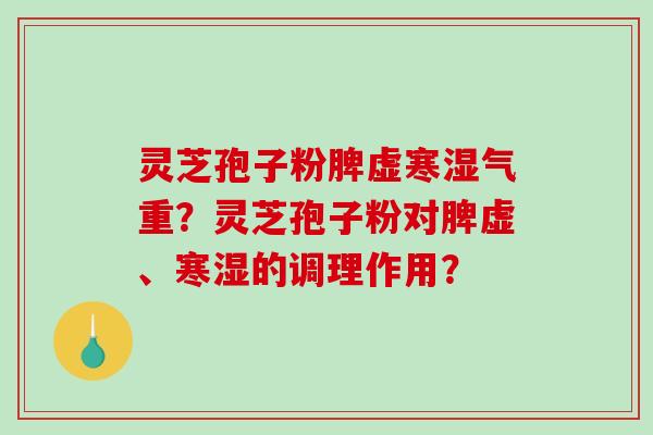 灵芝孢子粉脾虚寒湿气重？灵芝孢子粉对脾虚、寒湿的调理作用？-第1张图片-破壁灵芝孢子粉研究指南