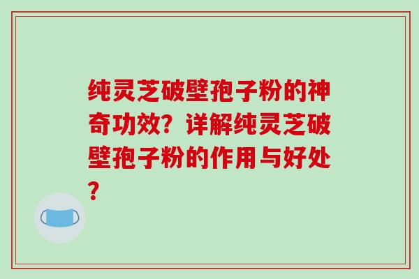 纯灵芝破壁孢子粉的神奇功效？详解纯灵芝破壁孢子粉的作用与好处？-第1张图片-破壁灵芝孢子粉研究指南