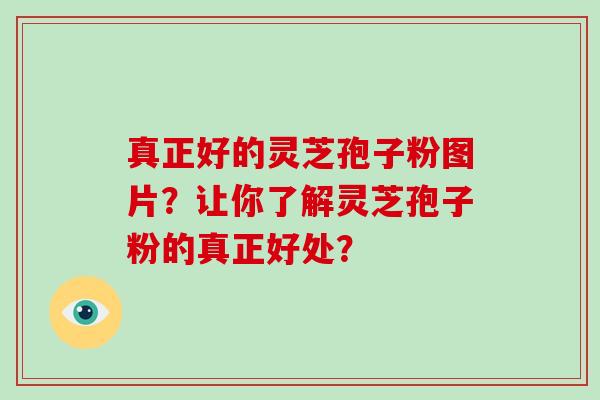 真正好的灵芝孢子粉图片?让你了解灵芝孢子粉的真正好处?-第1张图片-破壁灵芝孢子粉研究指南 真正好的灵芝孢子粉图片?让你了解灵芝孢子粉的真正好处?-第1张图片-破壁灵芝孢子粉研究指南