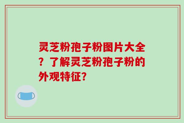 灵芝粉孢子粉图片大全?了解灵芝粉孢子粉的外观特征?-第1张图片-破壁灵芝孢子粉研究指南 灵芝粉孢子粉图片大全?了解灵芝粉孢子粉的外观特征?-第1张图片-破壁灵芝孢子粉研究指南