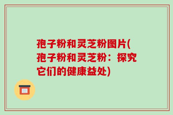 孢子粉和灵芝粉图片(孢子粉和灵芝粉:探究它们的健康益处)-第1张图片-破壁灵芝孢子粉研究指南 孢子粉和灵芝粉图片(孢子粉和灵芝粉:探究它们的健康益处)-第1张图片-破壁灵芝孢子粉研究指南