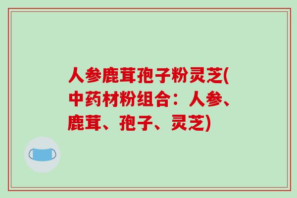 人参鹿茸孢子粉灵芝(中药材粉组合:人参、鹿茸、孢子、灵芝)-第1张图片-破壁灵芝孢子粉研究指南 人参鹿茸孢子粉灵芝(中药材粉组合:人参、鹿茸、孢子、灵芝)-第1张图片-破壁灵芝孢子粉研究指南