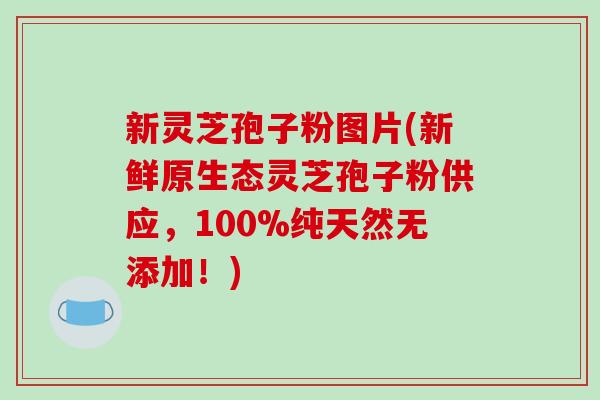 新灵芝孢子粉图片(新鲜原生态灵芝孢子粉供应,100%纯天然无添加!)-第1张图片-破壁灵芝孢子粉研究指南 新灵芝孢子粉图片(新鲜原生态灵芝孢子粉供应,100%纯天然无添加!)-第1张图片-破壁灵芝孢子粉研究指南