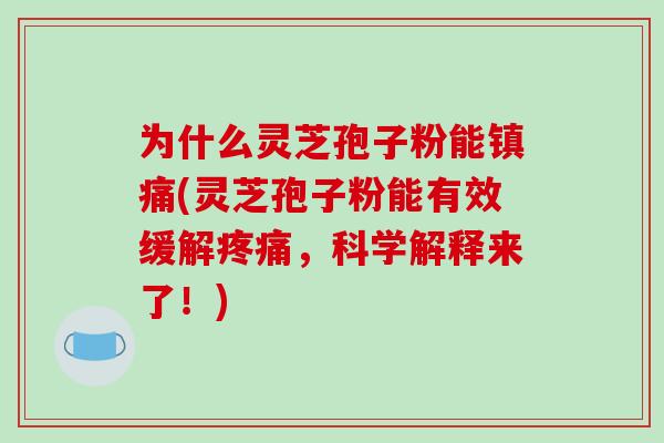 为什么灵芝孢子粉能镇痛(灵芝孢子粉能有效缓解疼痛,科学解释来了!)-第1张图片-破壁灵芝孢子粉研究指南 为什么灵芝孢子粉能镇痛(灵芝孢子粉能有效缓解疼痛,科学解释来了!)-第1张图片-破壁灵芝孢子粉研究指南