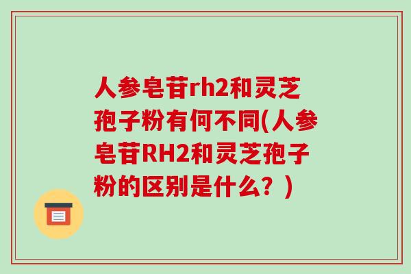 人参皂苷rh2和灵芝孢子粉有何不同(人参皂苷RH2和灵芝孢子粉的区别是什么?)-第1张图片-破壁灵芝孢子粉研究指南 人参皂苷rh2和灵芝孢子粉有何不同(人参皂苷RH2和灵芝孢子粉的区别是什么?)-第1张图片-破壁灵芝孢子粉研究指南