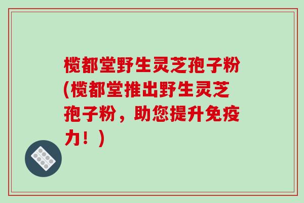 榄都堂野生灵芝孢子粉(榄都堂推出野生灵芝孢子粉,助您提升免疫力!)-第1张图片-破壁灵芝孢子粉研究指南 榄都堂野生灵芝孢子粉(榄都堂推出野生灵芝孢子粉,助您提升免疫力!)-第1张图片-破壁灵芝孢子粉研究指南