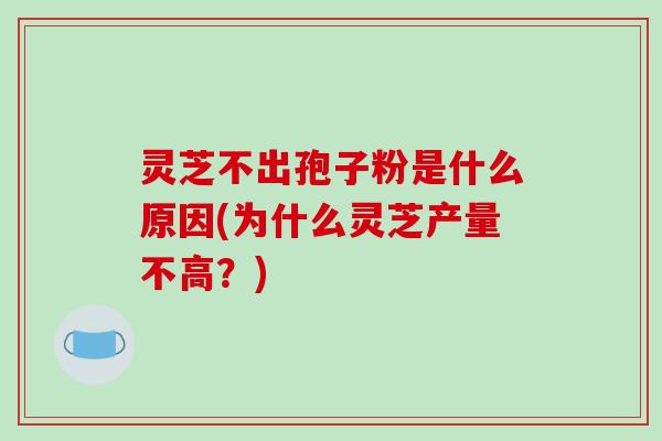 灵芝不出孢子粉是什么原因(为什么灵芝产量不高？)-第1张图片-破壁灵芝孢子粉研究指南