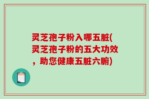 灵芝孢子粉入哪五脏(灵芝孢子粉的五大功效,助您健康五脏六腑)-第1张图片-破壁灵芝孢子粉研究指南 灵芝孢子粉入哪五脏(灵芝孢子粉的五大功效,助您健康五脏六腑)-第1张图片-破壁灵芝孢子粉研究指南