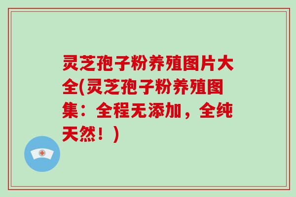 灵芝孢子粉养殖图片大全(灵芝孢子粉养殖图集：全程无添加，全纯天然！)-第1张图片-破壁灵芝孢子粉研究指南