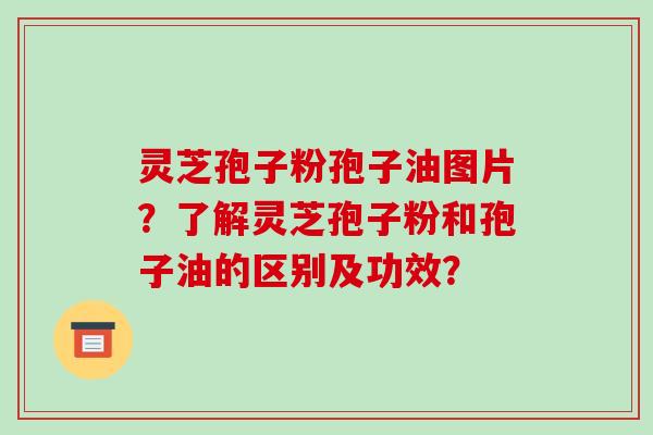 灵芝孢子粉孢子油图片？了解灵芝孢子粉和孢子油的区别及功效？-第1张图片-破壁灵芝孢子粉研究指南