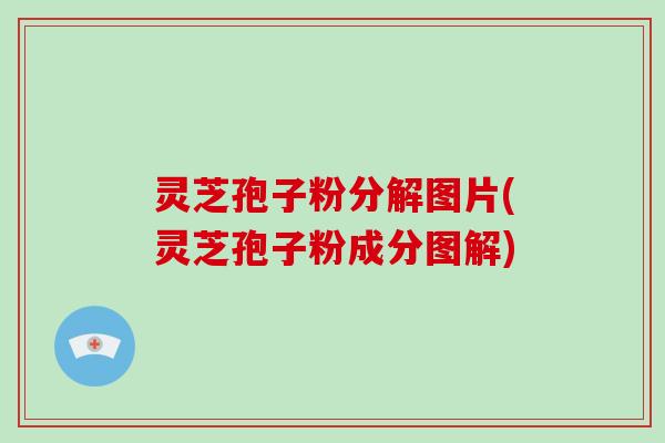 灵芝孢子粉分解图片(灵芝孢子粉成分图解)-第1张图片-破壁灵芝孢子粉研究指南 灵芝孢子粉分解图片(灵芝孢子粉成分图解)-第1张图片-破壁灵芝孢子粉研究指南