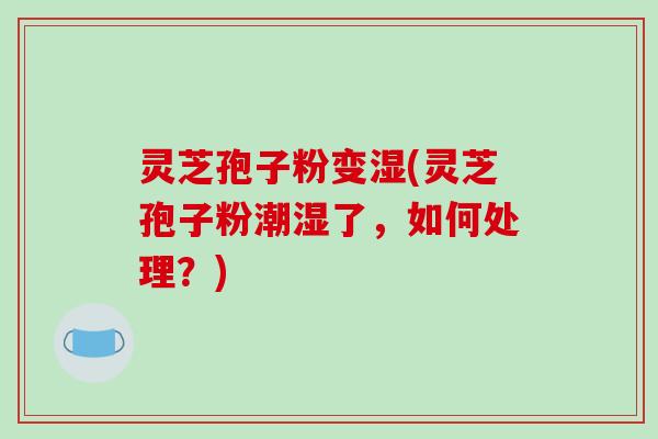 灵芝孢子粉变湿(灵芝孢子粉潮湿了,如何处理?)-第1张图片-破壁灵芝孢子粉研究指南 灵芝孢子粉变湿(灵芝孢子粉潮湿了,如何处理?)-第1张图片-破壁灵芝孢子粉研究指南
