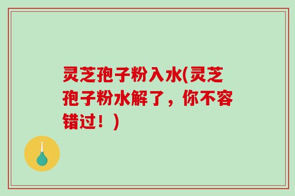灵芝孢子粉入水(灵芝孢子粉水解了,你不容错过!)-第1张图片-破壁灵芝孢子粉研究指南 灵芝孢子粉入水(灵芝孢子粉水解了,你不容错过!)-第1张图片-破壁灵芝孢子粉研究指南
