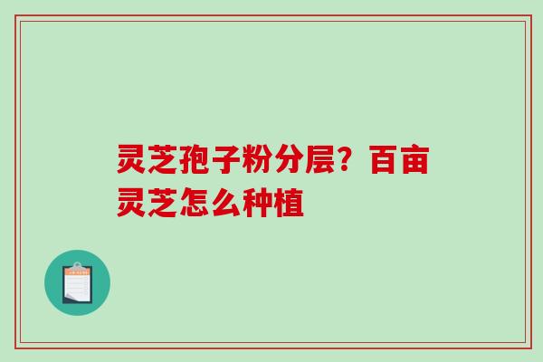 灵芝孢子粉分层?百亩灵芝怎么种植-第1张图片-破壁灵芝孢子粉研究指南 灵芝孢子粉分层?百亩灵芝怎么种植-第1张图片-破壁灵芝孢子粉研究指南