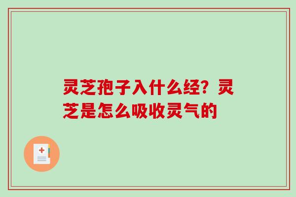 灵芝孢子入什么经?灵芝是怎么吸收灵气的-第1张图片-破壁灵芝孢子粉研究指南 灵芝孢子入什么经?灵芝是怎么吸收灵气的-第1张图片-破壁灵芝孢子粉研究指南