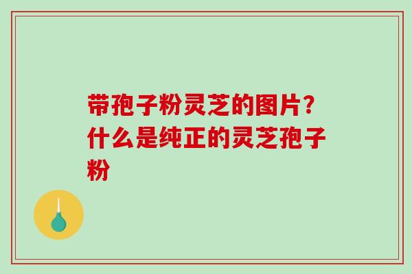 带孢子粉灵芝的图片?什么是纯正的灵芝孢子粉-第1张图片-破壁灵芝孢子粉研究指南 带孢子粉灵芝的图片?什么是纯正的灵芝孢子粉-第1张图片-破壁灵芝孢子粉研究指南