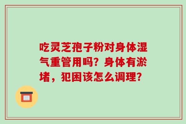 吃灵芝孢子粉对身体湿气重管用吗?身体有淤堵,犯困该怎么调理?-第1张图片-破壁灵芝孢子粉研究指南 吃灵芝孢子粉对身体湿气重管用吗?身体有淤堵,犯困该怎么调理?-第1张图片-破壁灵芝孢子粉研究指南
