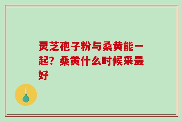 灵芝孢子粉与桑黄能一起?桑黄什么时候采最好-第1张图片-破壁灵芝孢子粉研究指南 灵芝孢子粉与桑黄能一起?桑黄什么时候采最好-第1张图片-破壁灵芝孢子粉研究指南