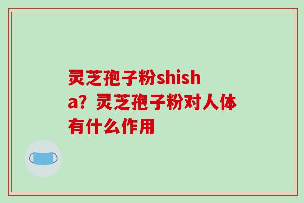 灵芝孢子粉shisha？灵芝孢子粉对人体有什么作用-第1张图片-破壁灵芝孢子粉研究指南