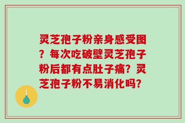 灵芝孢子粉亲身感受图?每次吃破壁灵芝孢子粉后都有点肚子痛?灵芝孢子粉不易消化吗?-第1张图片-破壁灵芝孢子粉研究指南 灵芝孢子粉亲身感受图?每次吃破壁灵芝孢子粉后都有点肚子痛?灵芝孢子粉不易消化吗?-第1张图片-破壁灵芝孢子粉研究指南